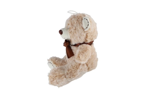 Plush Teddy Bear with Bow