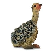 CollectA Ostrich Chick - Sitting