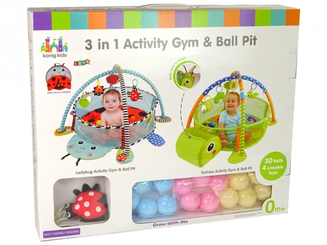 Educational Turtle Play Mat with Balls for Infants