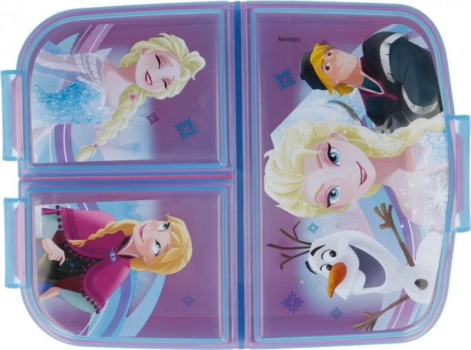 Frozen Lunch Multi Box