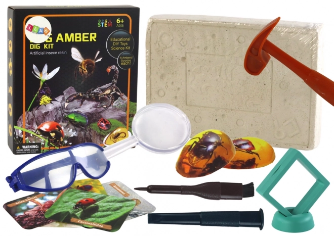 Archaeology Insect Excavation Kit