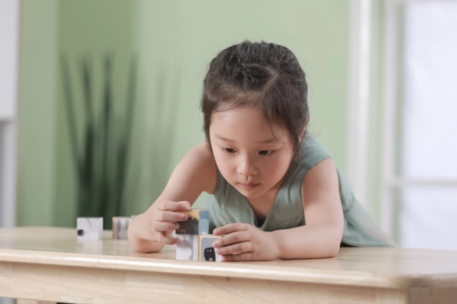 Wooden Animal Puzzle Blocks