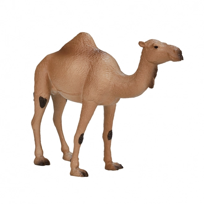 Realistic Dromedary Camel Figure