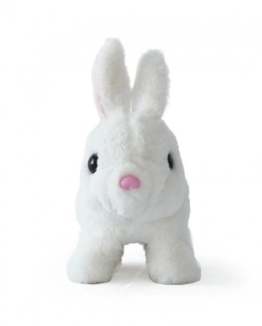 Battery Operated Bunny Toy