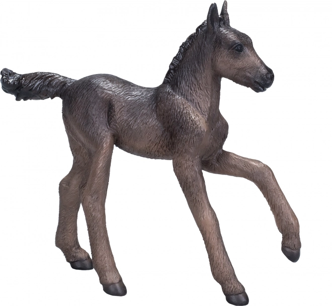 Mojo Black Arabian Foal