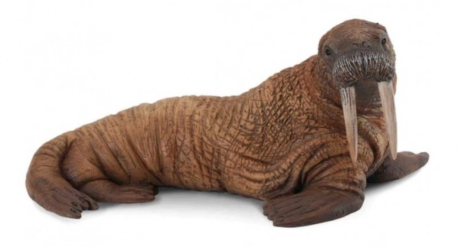 CollectA Polar Walrus Figurine