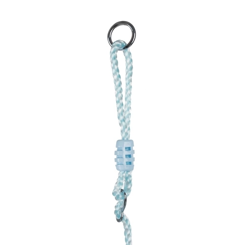 Plastic Swing - Blue