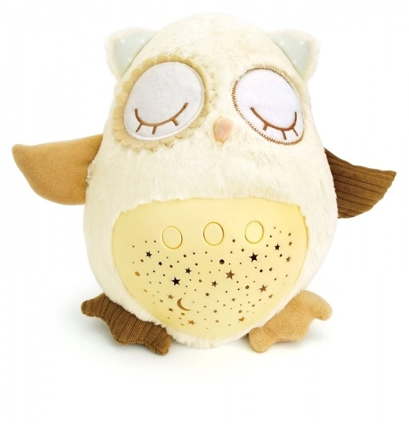 Sleepy Owl Night Light Toy