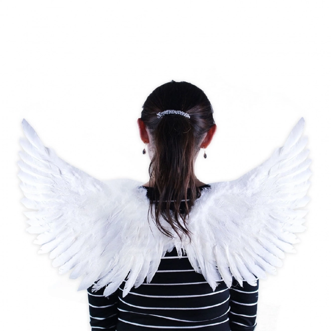 Angel Wings with Glitter