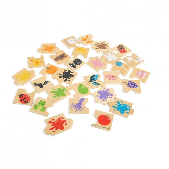 Bigjigs Toys Educational Color Puzzle