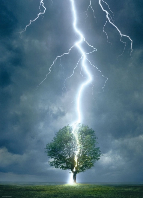 Puzzle Albero colpito da un fulmine 1000 pezzi