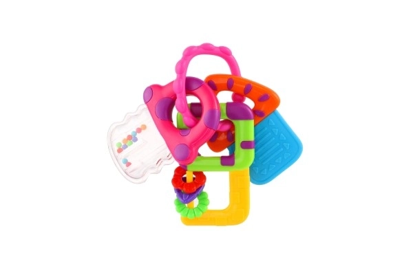 Baby Teething Rattle Key Set