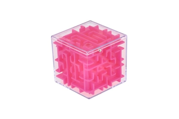 Labyrinth Puzzle Cube