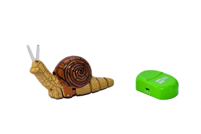 Remote Control Snail