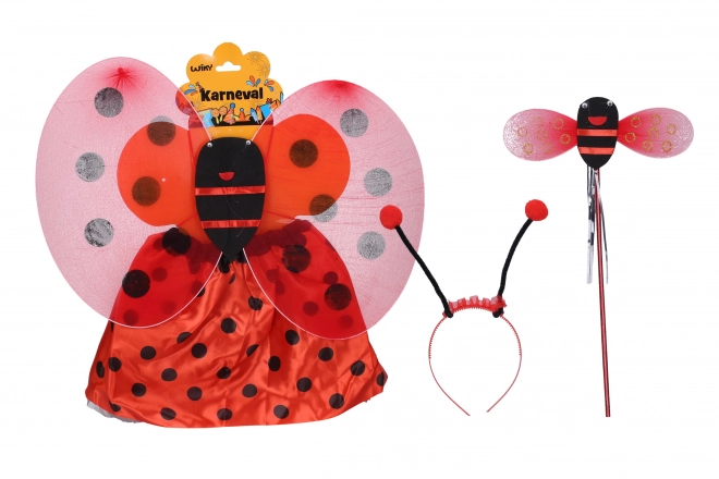 Ladybug Carnival Set