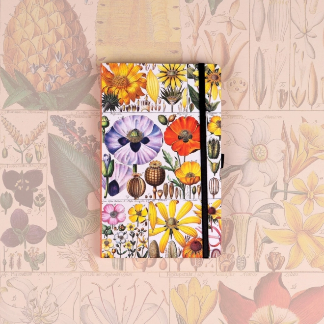 Notique Notes Katerina Winterova Collection Dot Notebook