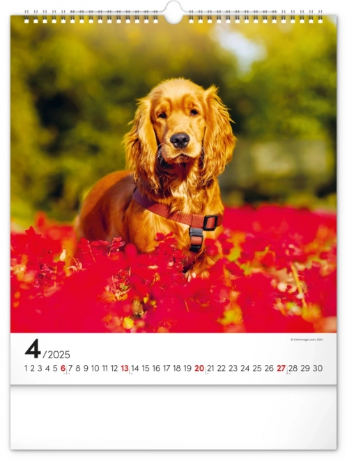 Notique Wall Calendar Dogs 2025