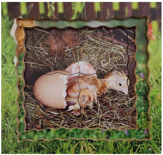 Chicken Life Cycle Wooden Layered Puzzle