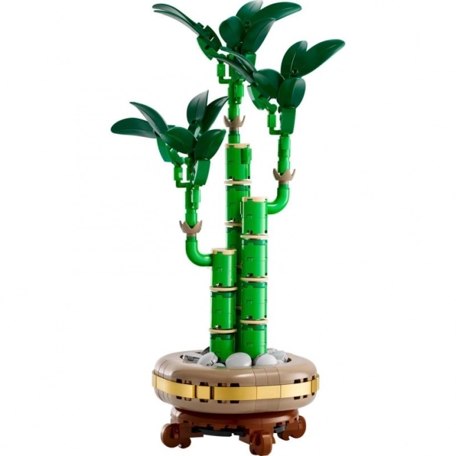 Decorative LEGO Botanicals Dracaena Sanderiana Plant