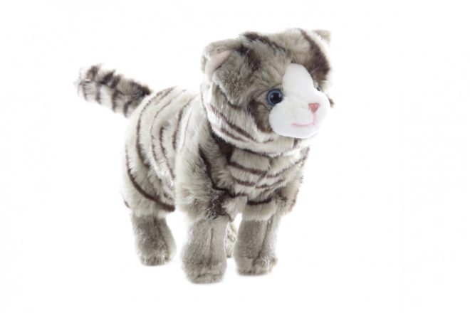 Sound Plush Cat 40 cm Eco-friendly