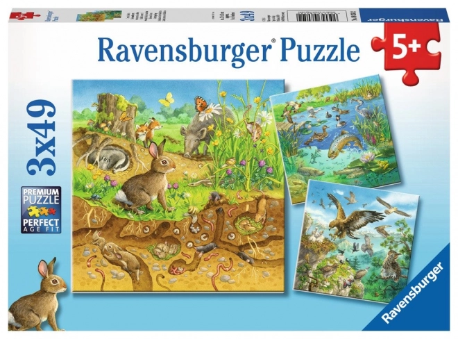 Puzzle Animals in Their Homes by Ravensburger