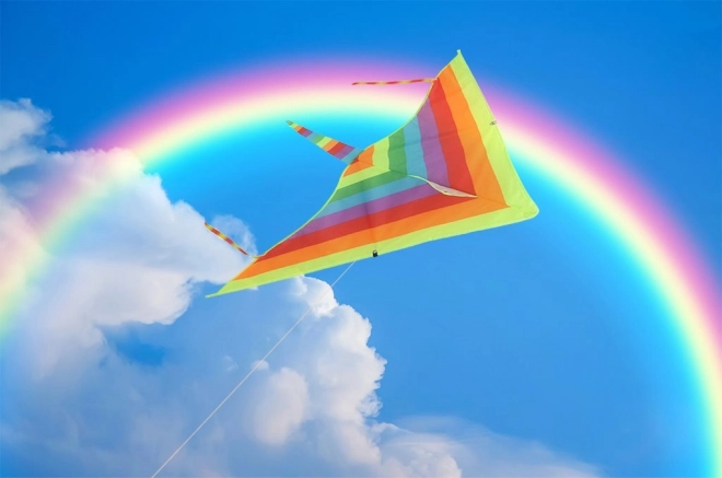 Large colorful rainbow kite for children