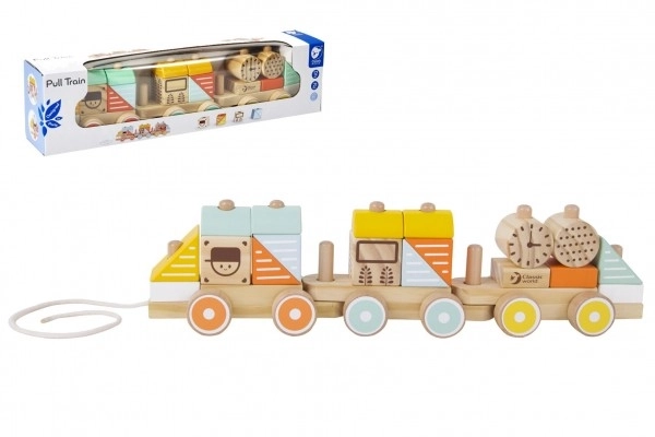 Pull-Along Wooden Train Set for Toddlers