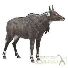 Collecta Nilgai Animal Figure