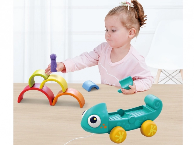 Rainbow Chameleon Montessori Puzzle