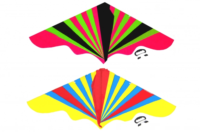 Large Flying Kite