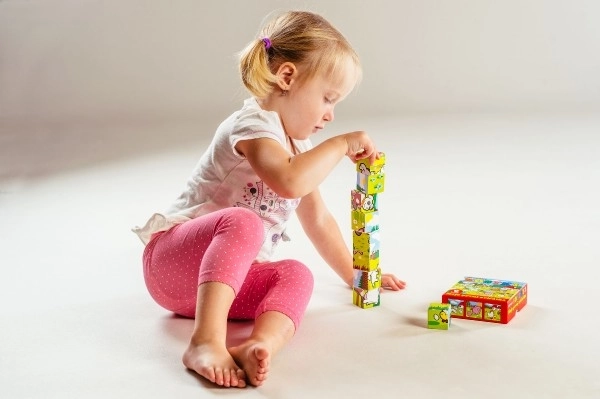 My First Animal Wooden Blocks Set