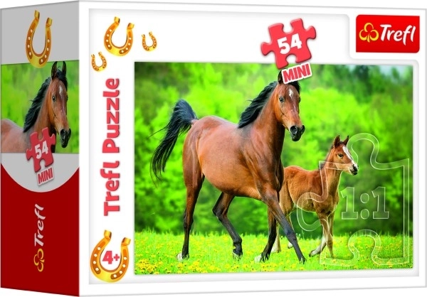 Mini Puzzle With Horses Assortment