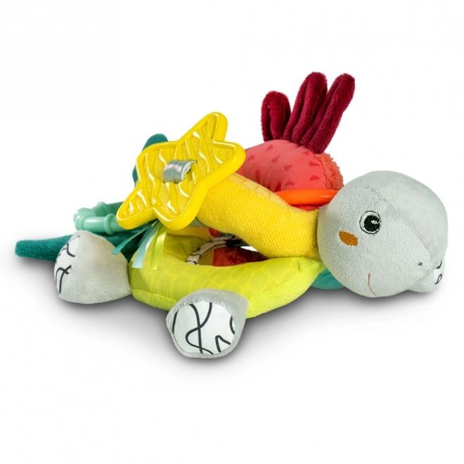 Activity Turtle for Babies