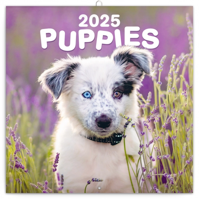 Puppies Wall Calendar 2025