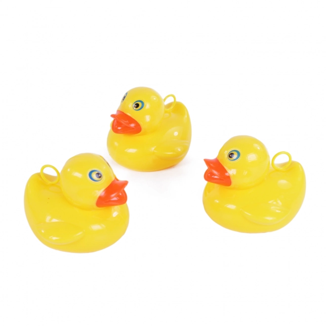 Duck Fishing Set 5 pcs