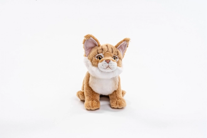 Plush Cat with Removable Mane