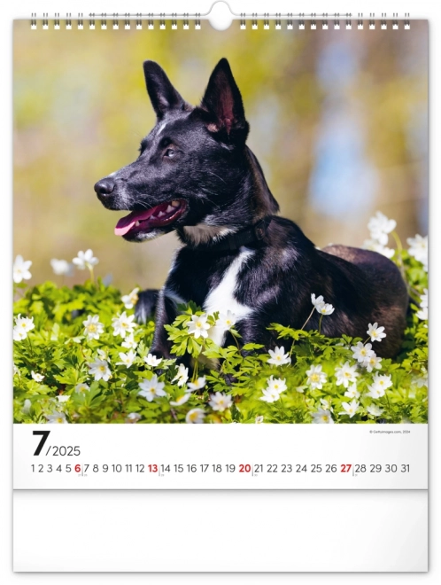 Notique Wall Calendar Dogs 2025