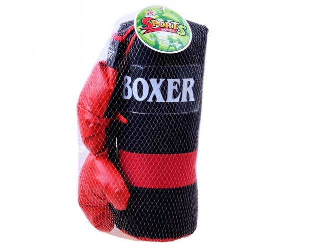 Boxing Set Gloves and Punch Bag