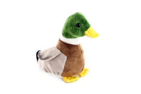 Plush Duck Toy
