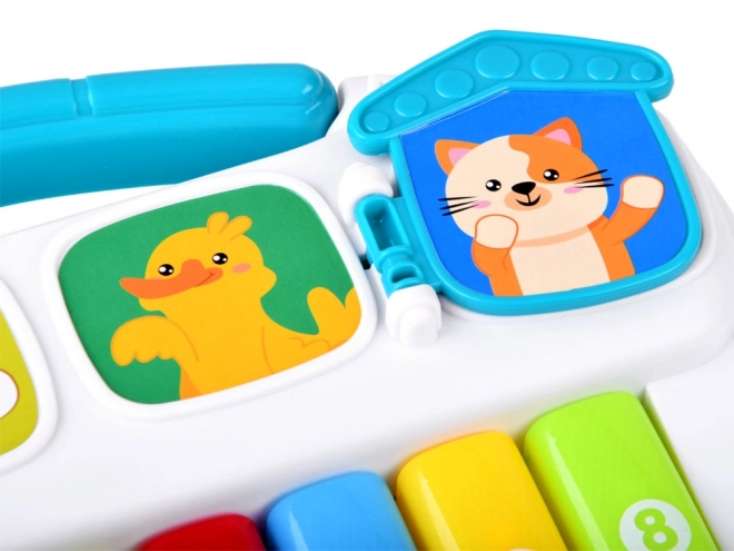 Colorful Musical Animal Piano