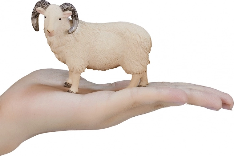 Kompakt méret a kis kezekhez