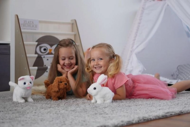 Battery Operated Bunny Toy
