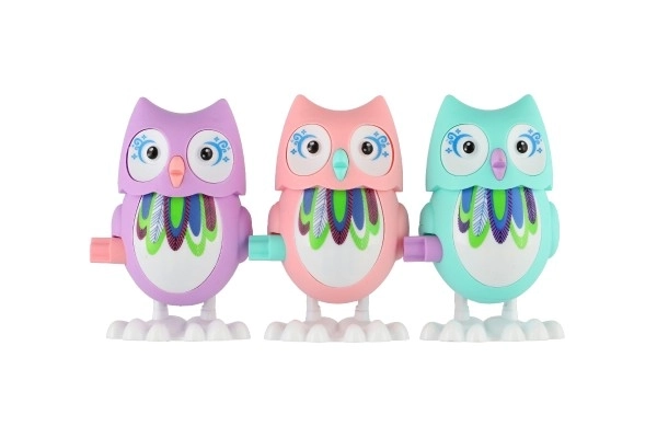 Colorful Wind-Up Owl Toy