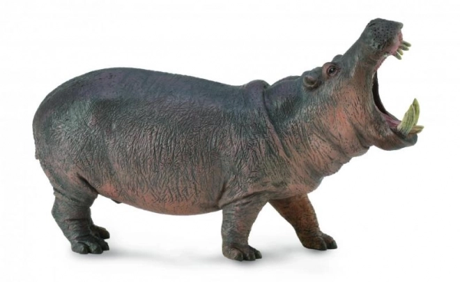 Hippo Figurine Collecta