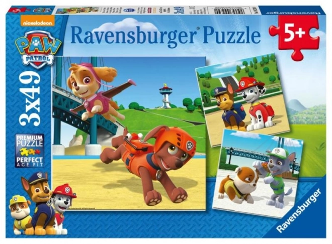 Paw Patrol Dog Team Puzzle Set