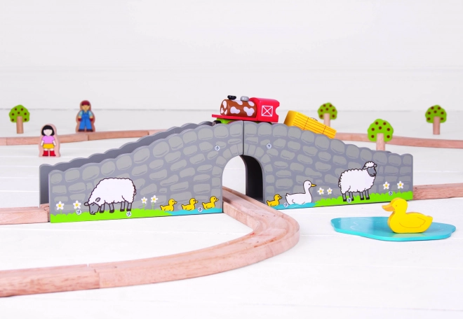 Bigjigs Rail Farm Bridge with Tunnel