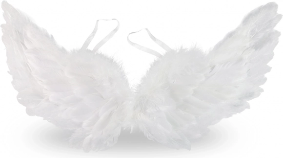 Angel Wings with Feathers 50 cm