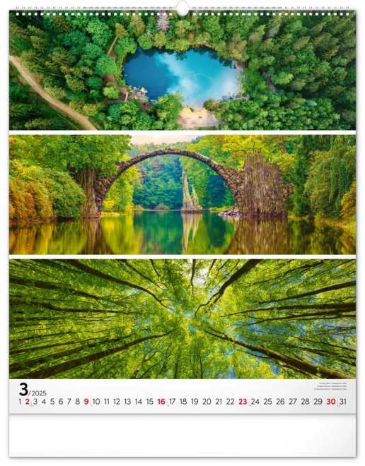 Wall Calendar Palette 2025