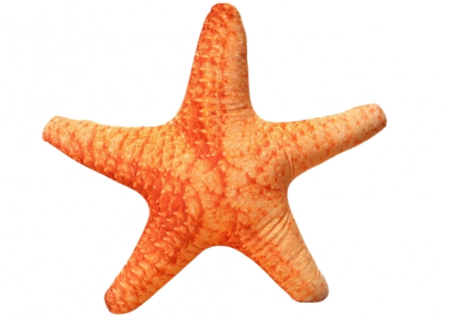 Plush Starfish Cushion