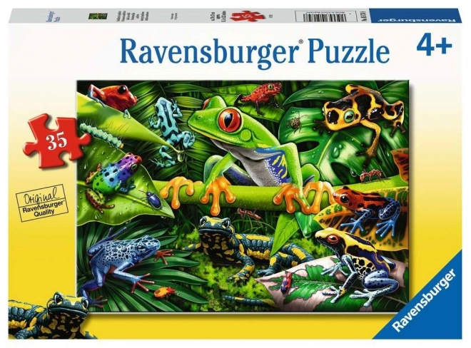 Amazing Amphibians Puzzle